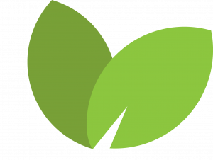 YAPI-leaf-300x226