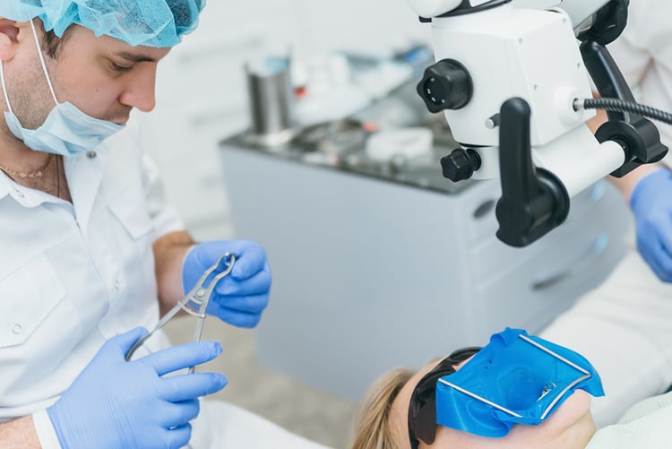 Dentist Treating Patient